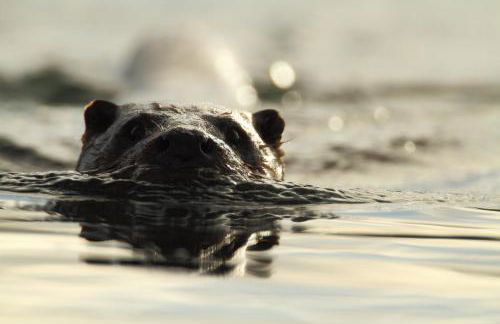 The Old School - Foto 30