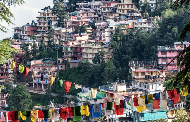 Visita guiada por McLeod Ganj - Foto 1