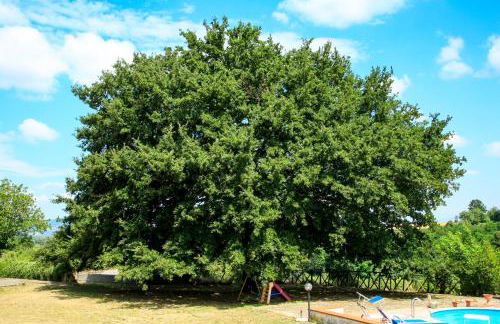 Agriturismo Eden - Foto 32