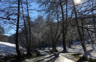 Charmant appartement sur cour, Le Cerisier - Foto 13