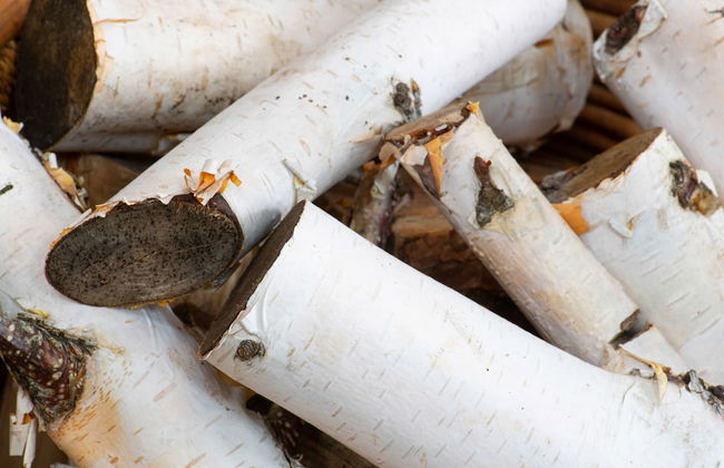 The Five Turrets: Stay in Scotland in Style in a Historic Four-bed Holiday Home - Foto 35