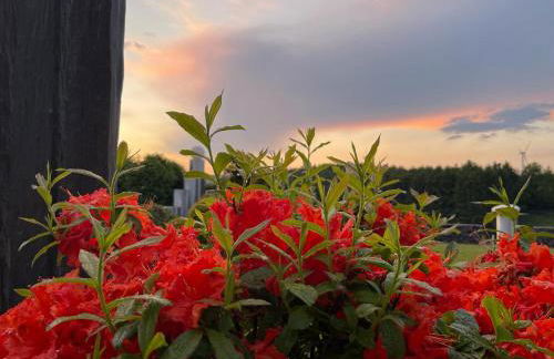 Oase der Ruhe in der Eifel - Photo 10