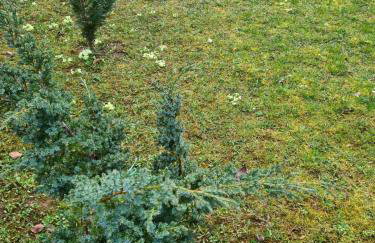 Holiday Home "Iris" near Plitvice Lakes - Foto 44