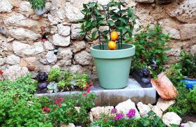 LA GARDE ADHEMAR, L'escalier Médiéval - Foto 13