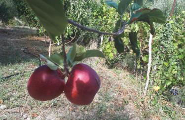 Villa Irini - Cretan Luxury Villa with Amazing View - Foto 45