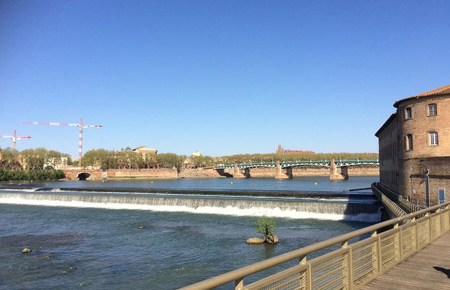 Tour di un giorno a Tolosa e sul Canal du Midi. Tour privato da Carcassonne. - Foto 9