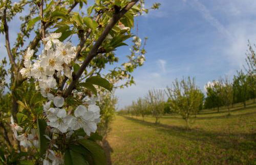 Tenuta Terre dei Latini - Foto 57