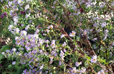 Relaksówka - Photo 43