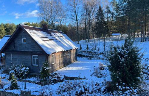 Drewniany Domek w Zakątku Andrzeje Śniczany 18 - Photo 68