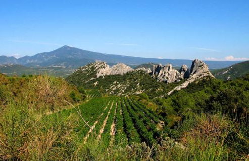 Mas Michel et Josiane - Photo 14