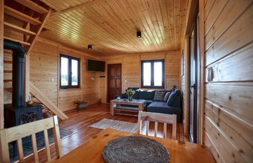 Domki całoroczne DŁUGOSZÓWKA pod Rzeszowem, Jacuzzi-Sauna-Basen-Alpaki - Foto 53