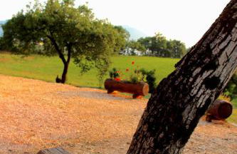 Da Foschetta - Foto 61