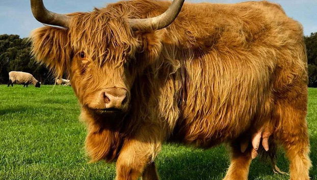 Disfrutando de las instalaciones de los parques