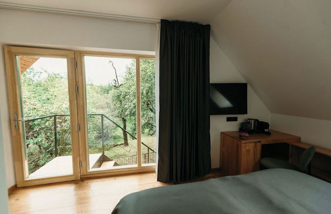 PurpleVague - Photo 34