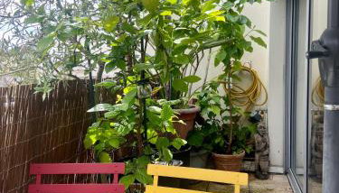 Appartement avec terrasse fleurie au dernier étage - Paris 17 - Foto 2