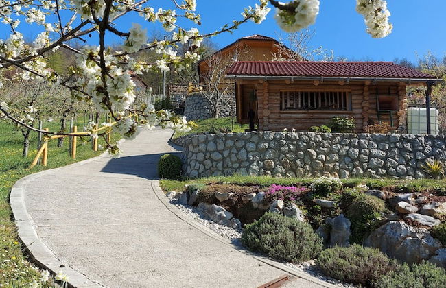 Vineyard cottage Stopar - Foto 22