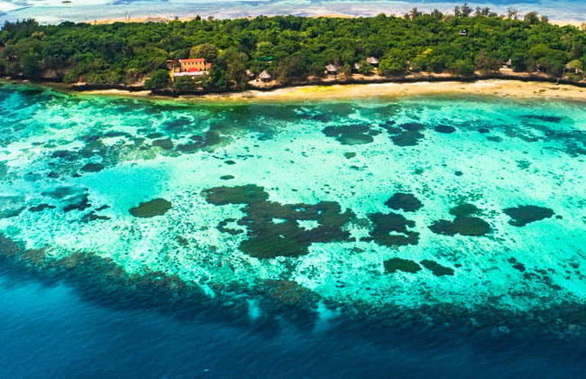 Tour di Stone Town e Prison Island - Foto 1