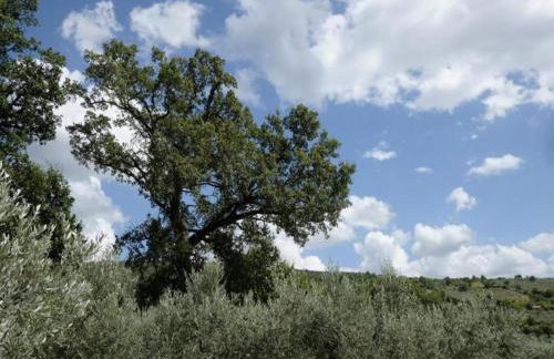 Elegant apartment in resort with swimming pool featuring nature and tranquillity - Foto 43