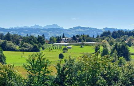 Dinkelbach Feriendomicil 2 D - Photo 27