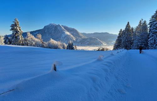 Ferienwohnung Gipfelstürmer - Foto 49