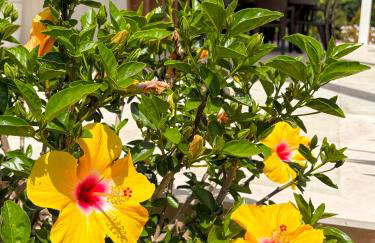 Quinta Vale da Paz - Foto 77
