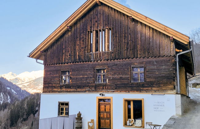 David am Buchhammerhof - Foto 36