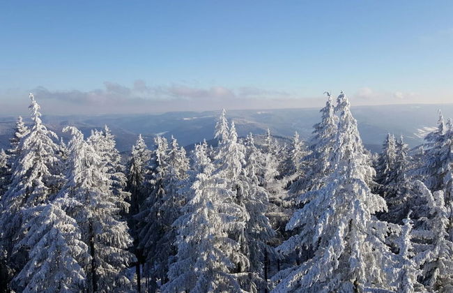 Pleasant Apartment in Zell am Harmersbach - Foto 24