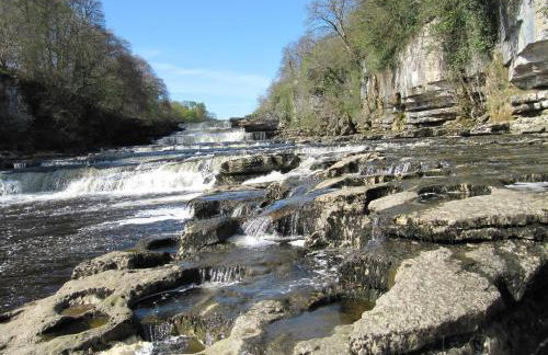 Hollyhock Cottage - Photo 17