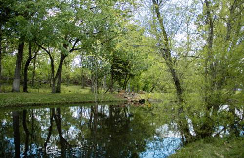 Charming Cabin - Pondview - Hot Tub - Foto 13