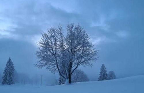 Gite l'Échapée Belle dans les Vosges - Foto 65
