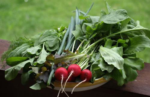 Wieża marzeń - Photo 16