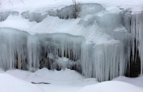 Dog-Friendly Chalet Rental near Whiteface Mountain and Lake Placid, New York - Foto 7