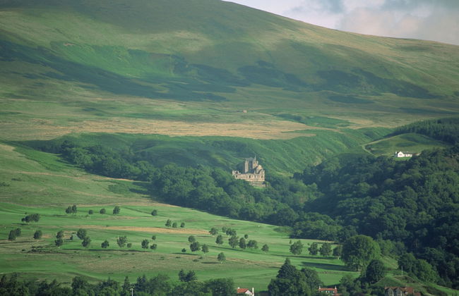 Dollar Apartments at 39 - Photo 46