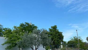 Luxury Villa Esmeralda - Foto 4