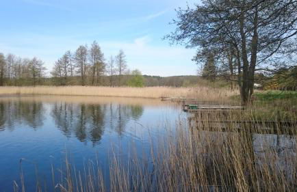 Idyll im Land der 1000 Seen - Foto 50