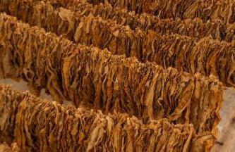 Corte Sant'Oronzo - Photo 3