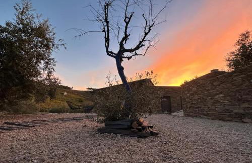 Quinta dos Piscos - Foto 55