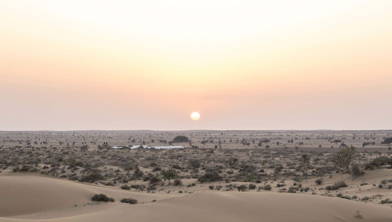 Excursão ao deserto de Thar