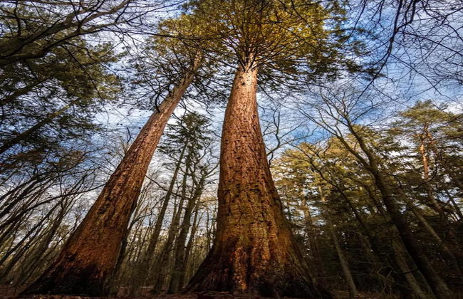 Chalet in Wendorf - Foto 32