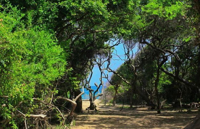 Villa-serenity - Photo 41