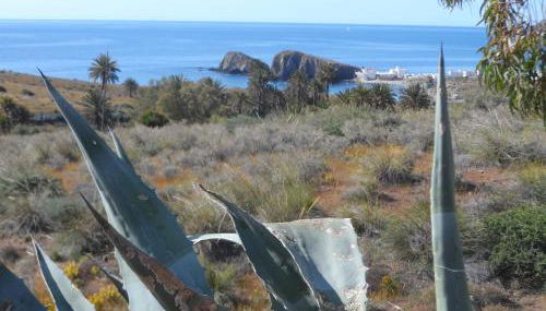 Apartamento encantador - Foto 3