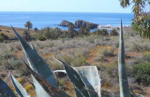 Apartamento encantador - Foto 3