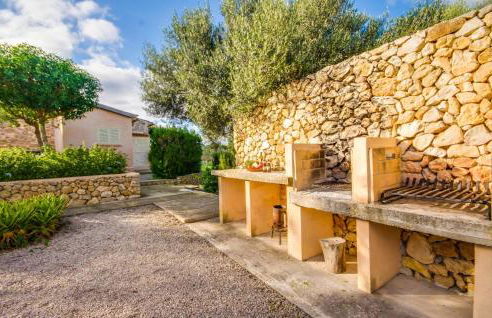 Higo Chumbo - Foto 6