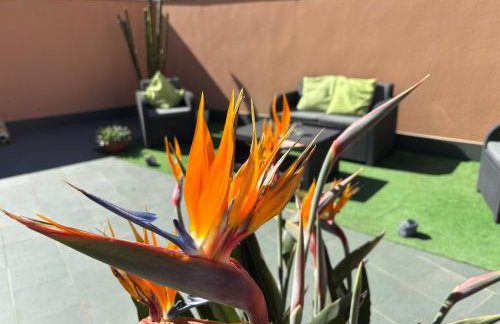 Apartamento Estela - Foto 1