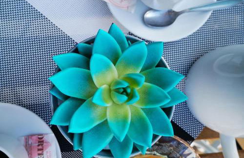 Puesta de Sol Rentals 3CR - Foto 13