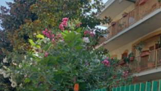 La casa di Lilia - Foto 2