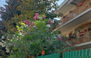 La casa di Lilia - Foto 2