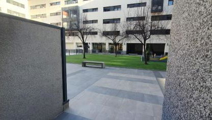 Oasis Mezquite - Photo 5