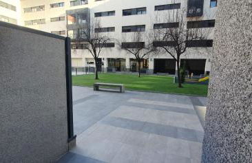 Oasis Mezquite - Photo 5