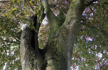 Haus Antje - Foto 18